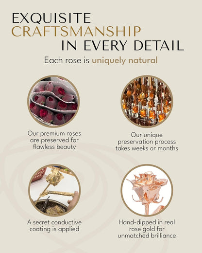 Real Rose Dipped in Rose Gold, Handcrafted Preserved Rose in Luxury Gold Gift Box, Romantic Gift for Her, Elegant Keepsake for Anniversary, Valentine'S Days, or Birthday.